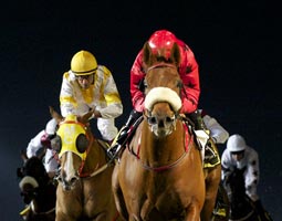 racebook
